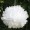 White12 -$0.12