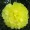 Yellow8 -$0.12