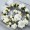 white yellow1 -$1.59
