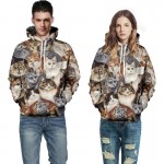 Fashion unisex couples hoodies 3D print lovely cat men women sweatshirt cool hoodies men harajuku pullovers brand clothing