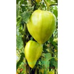 Heirloom giant red Tomato Seeds,strawberry tomato seeds,Professional Pack,100 Seeds/Pack,Organic Vegetable plant for home garden