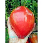 Heirloom giant red Tomato Seeds,strawberry tomato seeds,Professional Pack,100 Seeds/Pack,Organic Vegetable plant for home garden