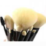 High Quality Makeup Brushes Set 10pcs Premium Makeup Tools Kit