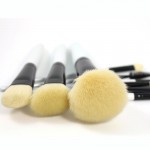 High Quality Makeup Brushes Set 10pcs Premium Makeup Tools Kit