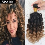 Hot Brazilian Virgin Hair Kinky Curly Virgin Hair 6A Jerry Curly Hair Extension Human Wigs1pc/Lot or mixed length 2Bundles Spark