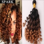 Hot Brazilian Virgin Hair Kinky Curly Virgin Hair 6A Jerry Curly Hair Extension Human Wigs1pc/Lot or mixed length 2Bundles Spark