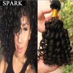 Hot Brazilian Virgin Hair Kinky Curly Virgin Hair 6A Jerry Curly Hair Extension Human Wigs1pc/Lot or mixed length 2Bundles Spark