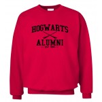 Hot Sale Inspired Magic Hogwarts Alumni print Men Hoodies 2016 autumn winter style man sweatshirts hip hop style hooded 