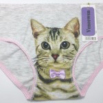 Hot Selling Cotton Panties Women's Plus Size Underwear Briefs 3D Printing Panty Cat Panties Sexy Girls Lingerie Intimates