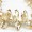 CS606 Gold champagne6 -$2.63