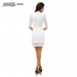 KaigeNina New Fashion Hot Ladies Half Sleeve Lace Dress Elegant Retro Party Autumn Dress 2228