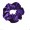 purple11 -$0.61
