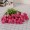 deep pink19 -$0.72