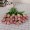 green rose16 -$0.72