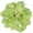 lily green5 -$0.85