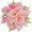 lily pink3 -$0.85