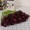 wine red15 -$0.72