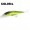 COLOR L12 -$3.99