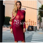 Must Have Free Shipping! Stunning Twins Laura & Klaudia Mesh Long Sleeves Patchwork Club Celebrity Party Bandage Dress