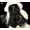 Black1 -$7.94