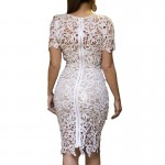 Nice-forever White Lace Dress Women Hollow out Sexy Club Dress embroidery Crochet Zip Back See through Unlined Bandage dress 790