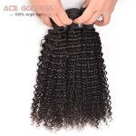 Peruvian Kinky Curly Virgin Hair 3 Bundles Peruvian Curly Hair Very Soft Peruvian Virgin Hair Tissage Bresilienne Curly ACE Hair