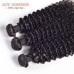 Peruvian Kinky Curly Virgin Hair 3 Bundles Peruvian Curly Hair Very Soft Peruvian Virgin Hair Tissage Bresilienne Curly ACE Hair