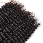 Peruvian Kinky Curly Virgin Hair 3 Bundles Peruvian Curly Hair Very Soft Peruvian Virgin Hair Tissage Bresilienne Curly ACE Hair