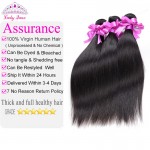 Peruvian Virgin Hair Straight 4 Bundles Deal Unprocessed Virgin Peruvian Straight Virgin Hair Human Hair Bundles 
