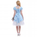 ROLECOS New Blue/Pink Sweet Lolita Dresses Women Gothic Maid Cosplay Costume Ball Gown Vintage Bowknot Dress GC133