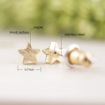 SMJEL New Fashion Women Earrings Brushed Geometric Star Stud Earrings for Women Party Gifts