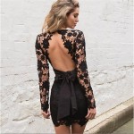 Sexy robe Backless Lace Dress  Deep V Long Sleeve Mini vestidos Openwork Crochet Club Party Women Dresses vestido de renda 