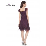 Short Lace Sexy Casual Dresses 2017 HE02713BK Alisa Pan Vestidos Curtos Special Occasion For Women Fast Shipping Casual Dresses