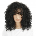 Synthetic Wig Women Hairstyle Afro Wigs for Black Women Long Kinky Curly Synthetic Black Wig Natural Cheap Hair Wig