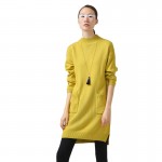 Toyouth 2017 Winter New Dress Women Turtle Neck Solid Knitted Dress Female Casual Straight Dress