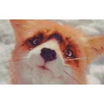 Track Ship+Vintage Retro Good Feeling T-shirt Top Tee Cute Little Fox in Snow Snowfield Watching You 0292