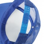 Unisex Women Men Curved Bill BLUE PINE TREE Dipper Gravity Falls Cartoon Mesh Hat Cap Trucker Baseball hat