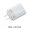 White    US PLUG4