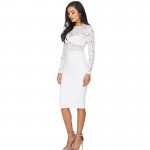 Women Autumn Dress 2017 New Fashion Lace Embroidery Patchwork See-Through Bodycon Dress Sexy Club Wear Vestidos Party Dresses