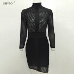 Women Autumn Dress Sexy Mesh Striped Patchwork Bodycon Black Club Dress Elegant Turtleneck Long Sleeve Gold Zipper Party Dresses