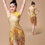 Women Latin Dance Dress Ballroom Dance Competition Dresses Samba Costume Ladies Salsa Dresses With Necklace Corsage