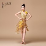 Women Latin Dance Dress Ballroom Dance Competition Dresses Samba Costume Ladies Salsa Dresses With Necklace Corsage