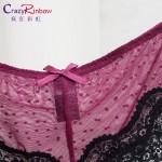 Women Sexy Lace Panties   Women's Low Waist Cotton Briefs Underwear  Thongs  sexy lace underwear women