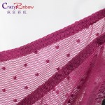 Women Sexy Lace Panties   Women's Low Waist Cotton Briefs Underwear  Thongs  sexy lace underwear women