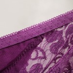 Women underwear briefs sexy women's Panties  full transparent lace seamless string plus size women underwear panty