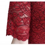 Womens Spring Casual Club Bridesmaid Mother of Bride Dress Elegant Sexy Lace Skater Slim A-Line Party Dress