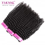 Yvonne Brazilian Kinky Curly Virgin Hair,3Pcs/lot Brazilian Hair Weave Bundles,Top Quality Aliexpress 100% Remy Human Hair