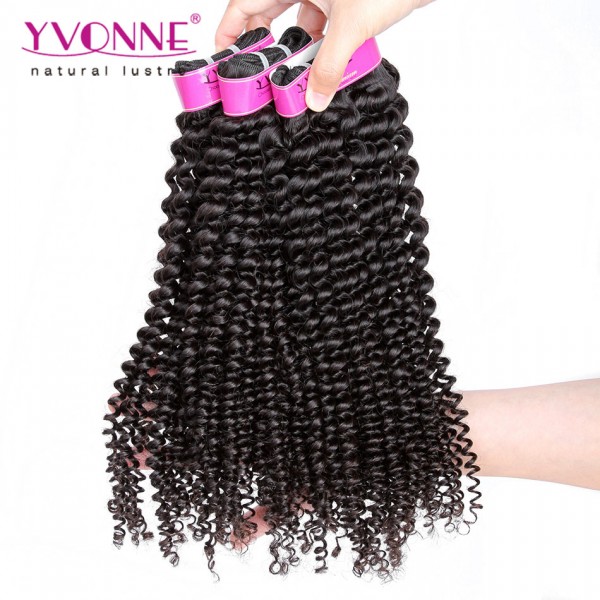 Yvonne Brazilian Kinky Curly Virgin Hair,3Pcs/lot Brazilian Hair Weave Bundles,Top Quality Aliexpress 100% Remy Human Hair