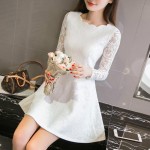 new arrival 2016  hot sale fashion women tops Korean autumn and winter  lace pure color long sleeve female casual dress 1150A 30