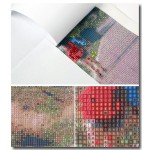 new full Diy diamond painting kit 3D cross stitch Square Diamond embroidery Autumn Scenic Brudge Diamond Mosaic Crafts ZX